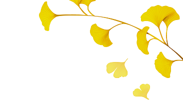 dsafdaf 1