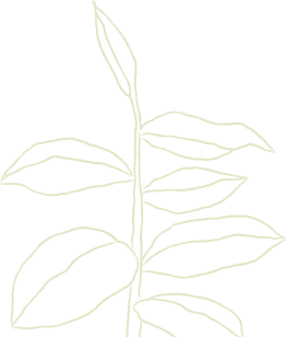 plant1