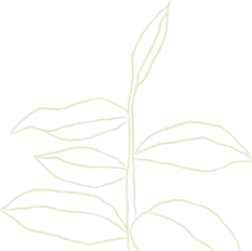 plant2