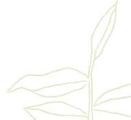 plant3
